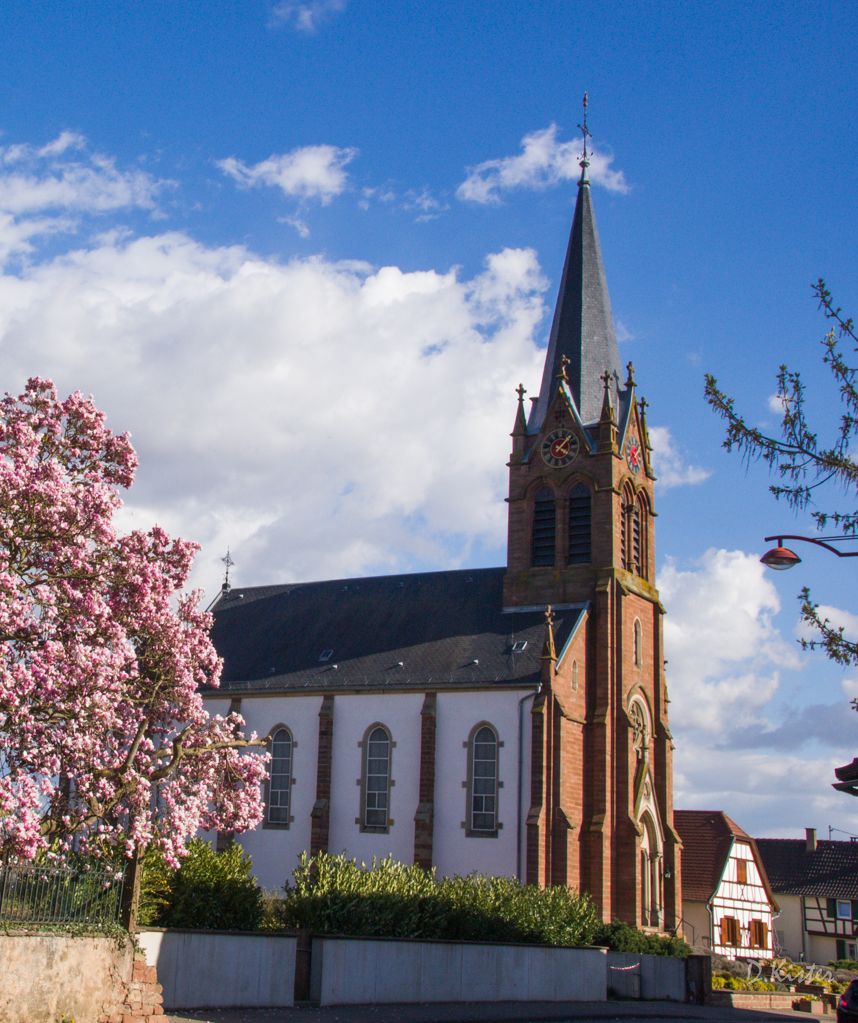 Statues et tableaux de l'église SaintCyriaque de Wiwersheim I Faire un