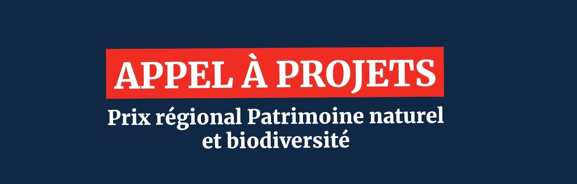 appel a projets.jpg