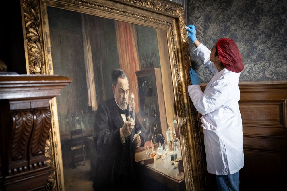 Chantier des collections du musée Pasteur. Dépoussiérage du cadre du portrait “ Pasteur dans son laboratoire ” par Albert Edelfelt.