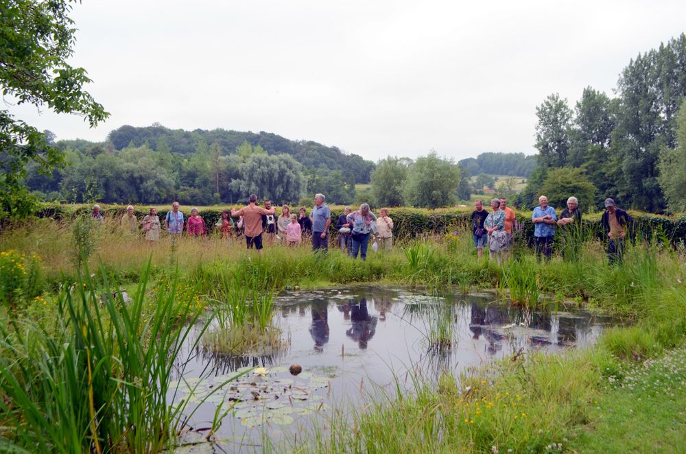 Découverte des enjeux d'une mare à l'occasion des Journées Européennes du Patrimoine 2025