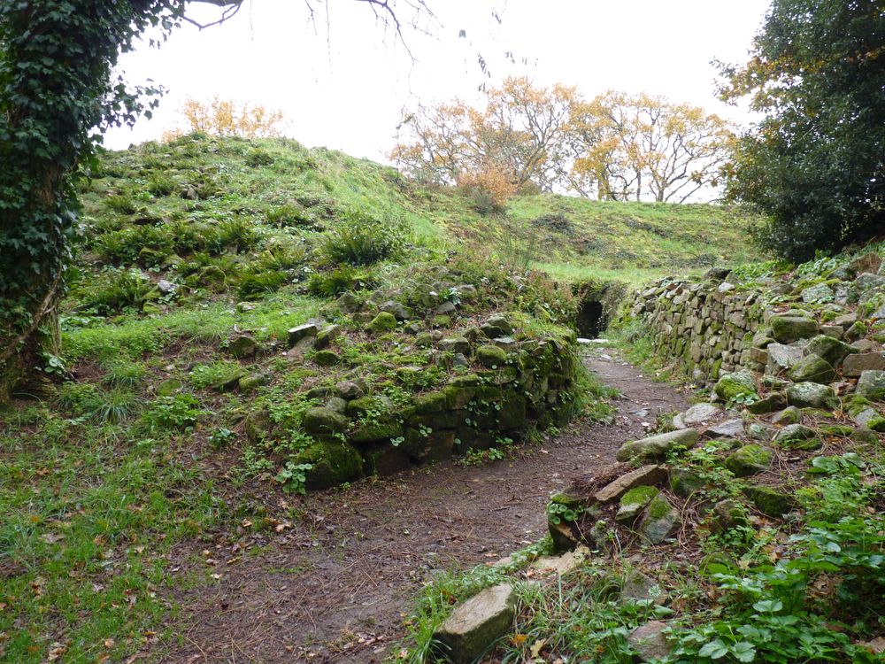 TUMULUS DE MANE ER HROECK Les Projets Fondation Du Patrimoine
